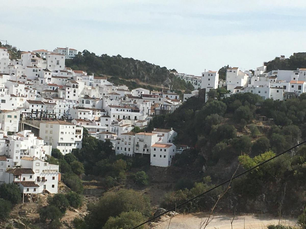 Casares Vacations Apartment Bagian luar foto
